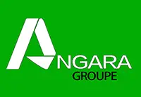 Angara Groupe : Service Delivery